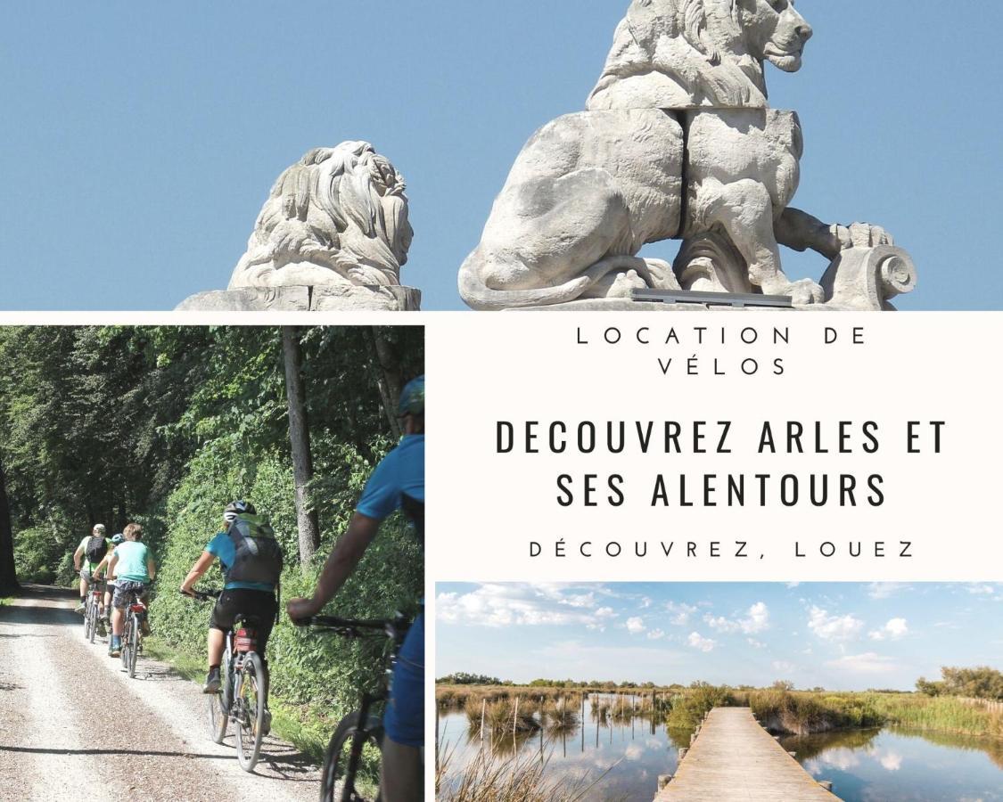 La Terrasse Ensoleillee Arles Camargue Leilighet Eksteriør bilde